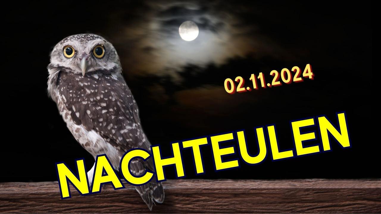 Nachteulen - 02.11.2024