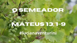 Mateus 13, 1-19 O semeador #lucianaventurini #desenvolvimentopessoal #evangelhodemateus