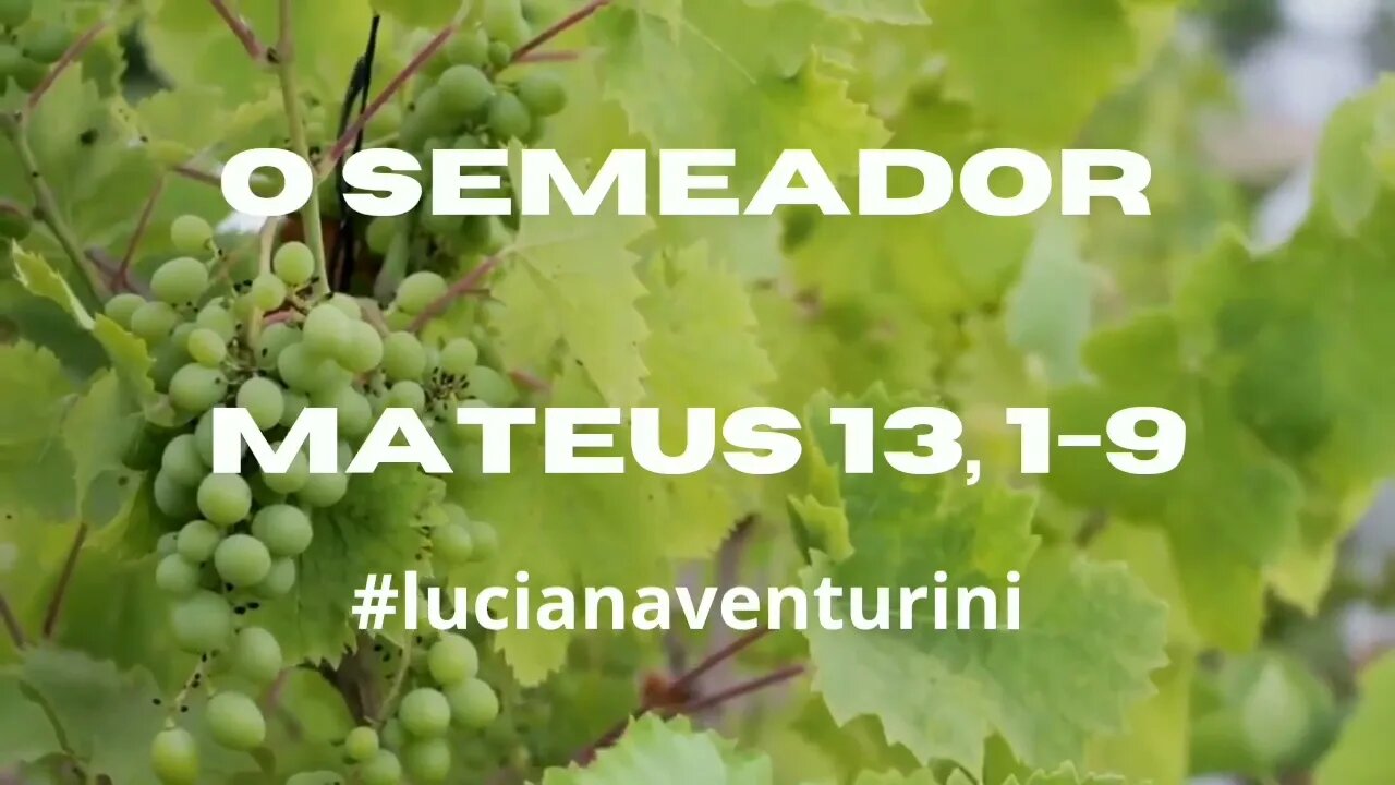 Mateus 13, 1-19 O semeador #lucianaventurini #desenvolvimentopessoal #evangelhodemateus