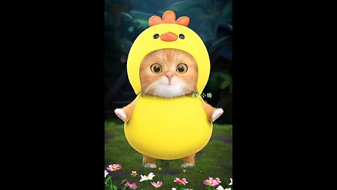 Chicken dance 🐥🐥