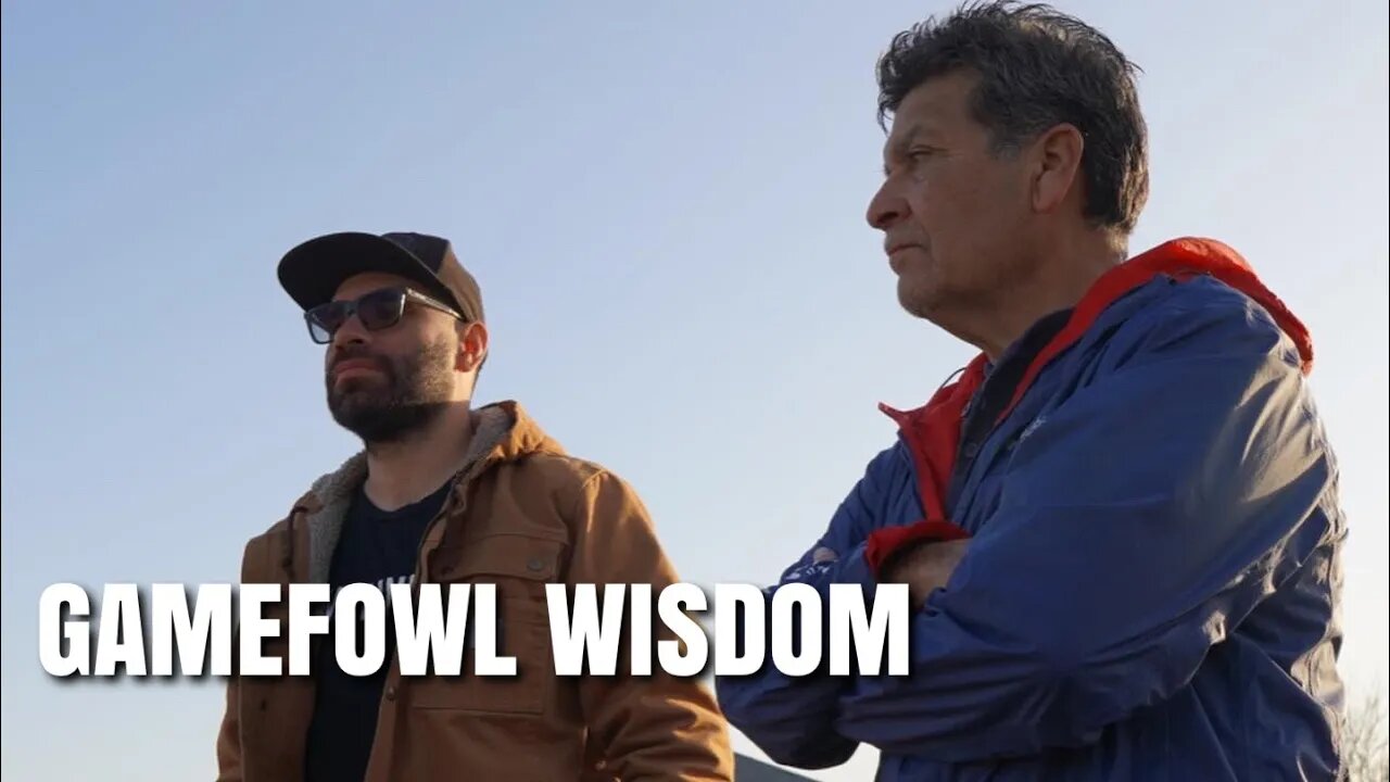 ART IN MOTION - HOMER CABRERA / GAMEFOWL WISDOM