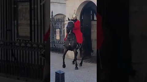 Guard shouts at tourist to move #horseguardsparade