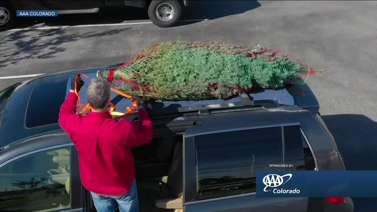 AAA Auto - Christmas Tree Hauling