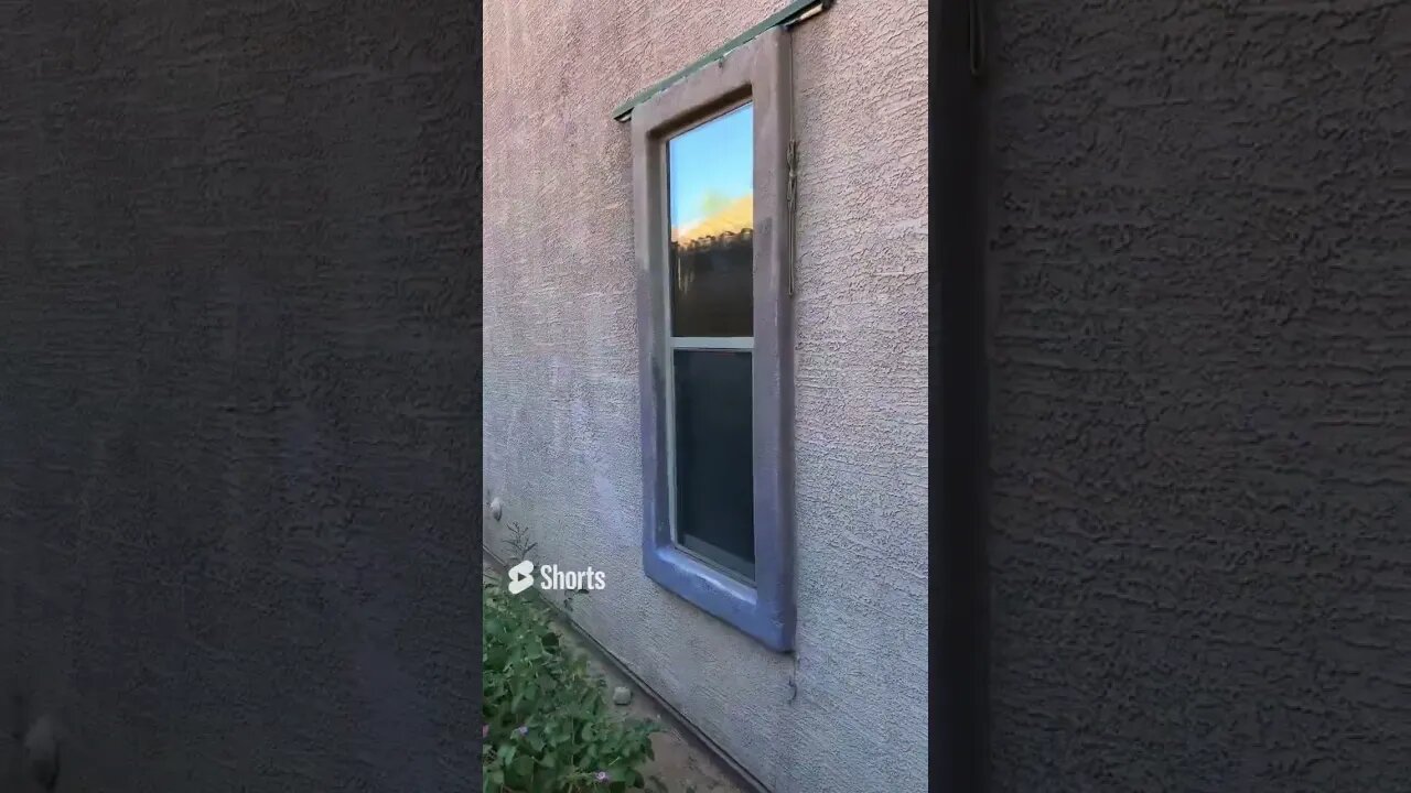 Paint NIGHTMARE