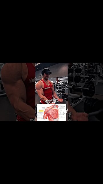 BICEPS 💪🔥💯#shorts #short #health #fitness #gym #motivation #workout #love #live #Dashperception