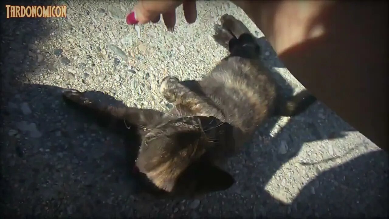 2022 07 07 3 without that bell, we would all be eaten by this monster