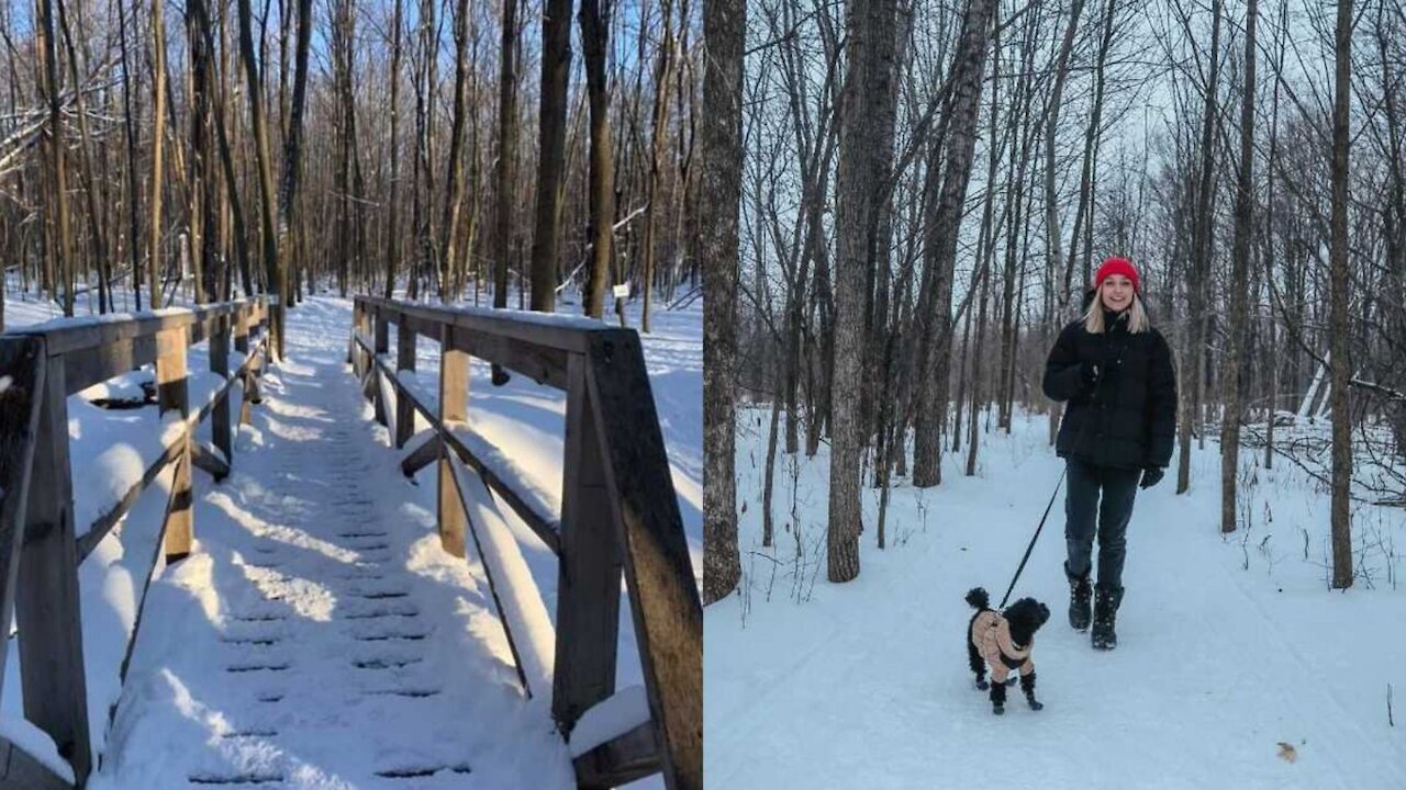 This 13-Km Nature Walk In Laval Will Plunge You Into A 'Winter Wonderland'