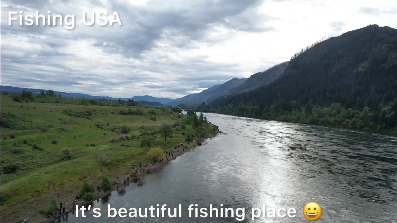 How to catch Spring Chinooks 4,000 passing Columbia River a day. People catches so many fishes!