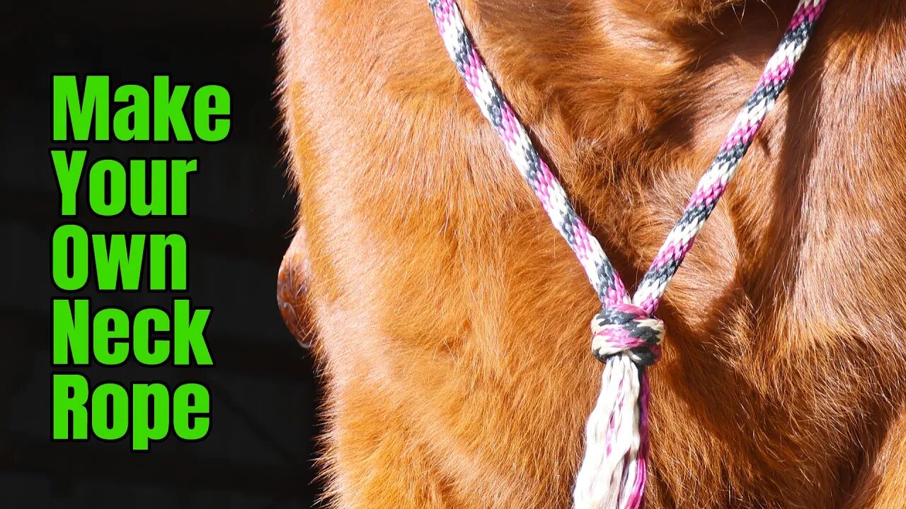 How to make a Neck Rope for Bridleless Riding or Training your Horse | Tying a Matthew Walker Knot
