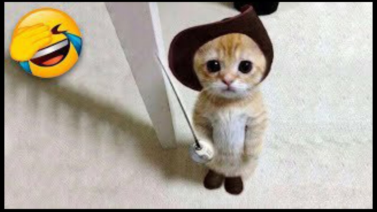 Cat😅 is seriously wate doing 😂😅