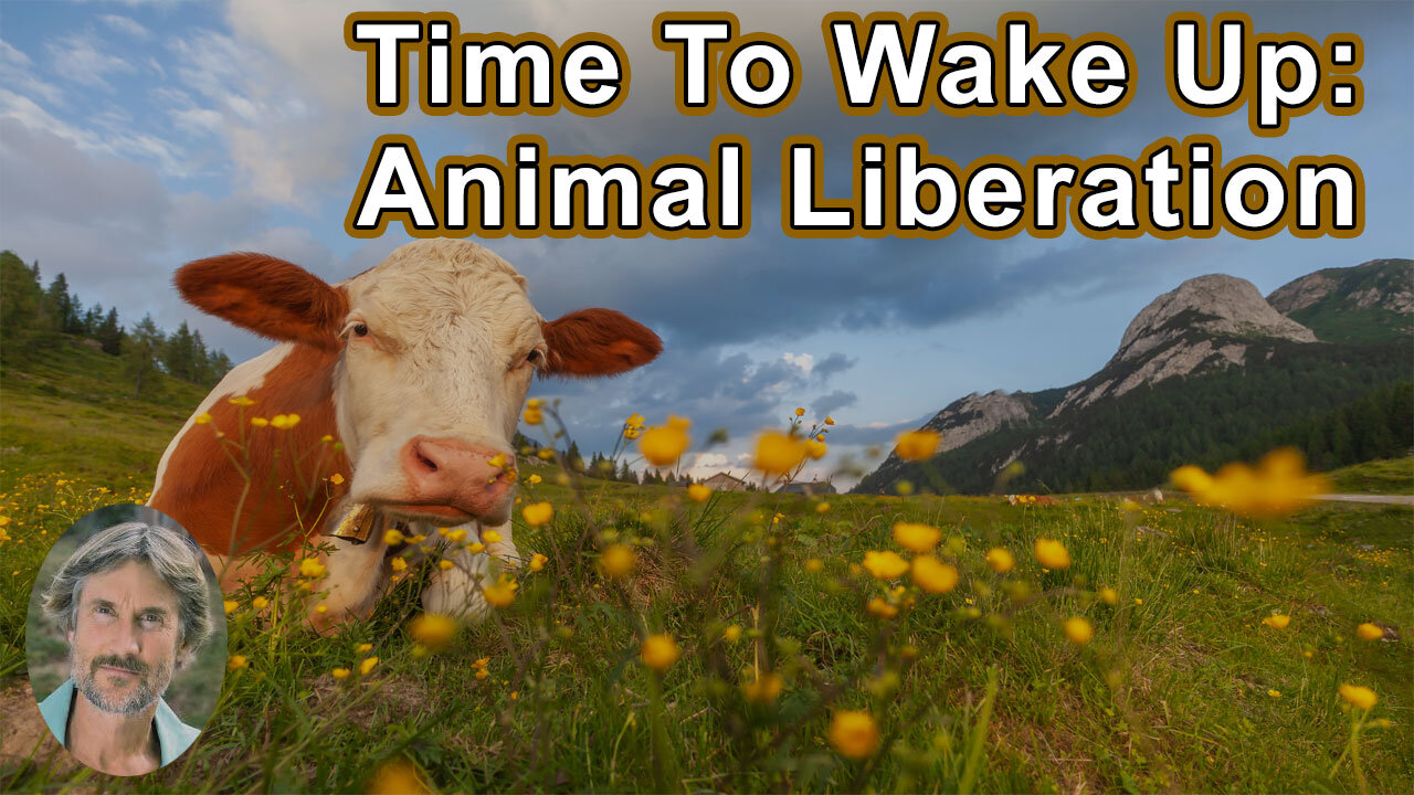 Time To Wake Up: A Deeper Look At Health, Freedom, And Animal Liberation - Will Tuttle, PhD