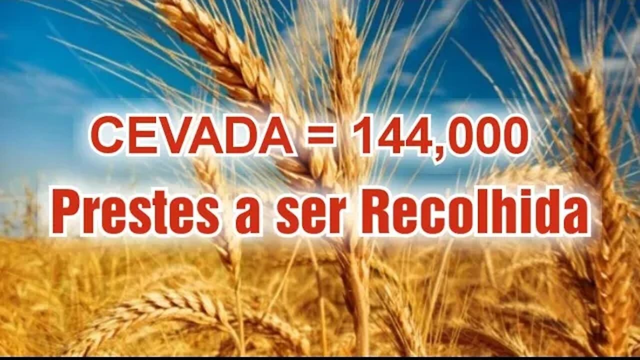 144.000🔺️A CEVADA - EM BREVE SERÁ RECOLHIDA! #compartilhe #revelação #biblia #jesus #profecia