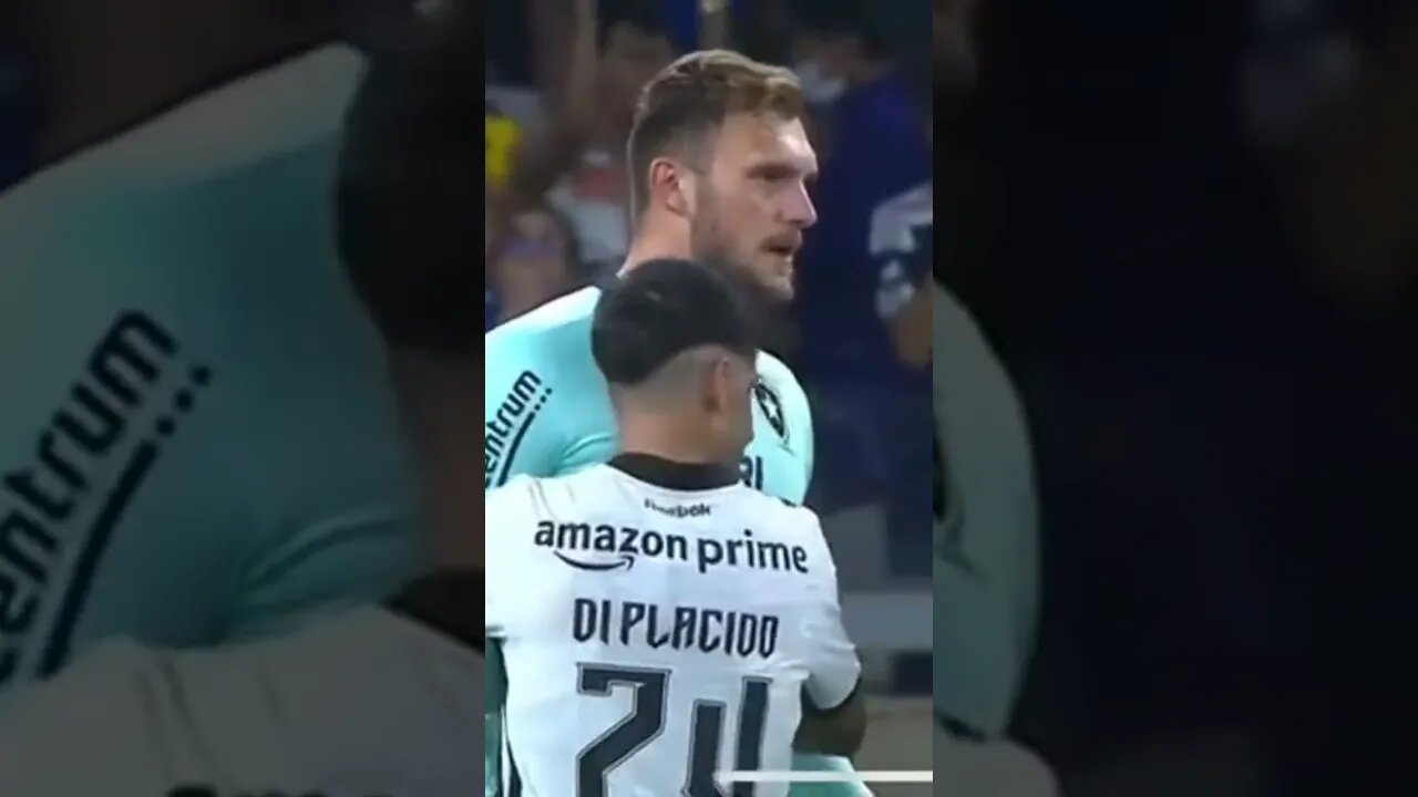 🔥DI PLÁCIDO REPRESENTANDO TODOS OS ALVINEGROS NESTE ABRAÇO! #botafogo #brasileirão #segueolíder