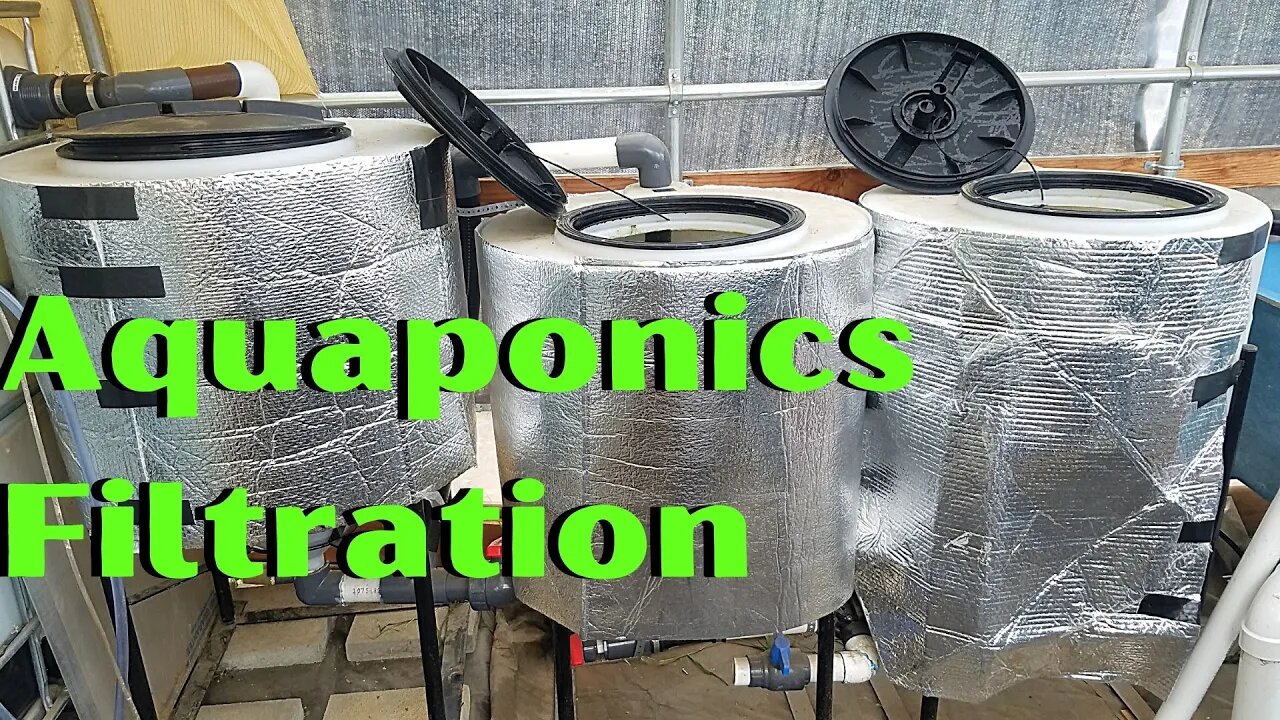 Aquaponics filter review (going over the plan for my aquaponic filters)-