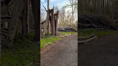 Intense Tropical Storm Destroyed This Trail 🌀
