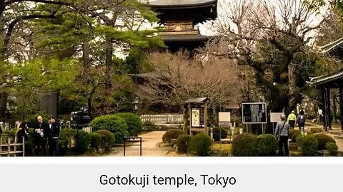 GOTOKUJI TEMPLE BIRTHPLACE MANEKI NEKO JAPAN -- FRANSISCA OFFICIAL