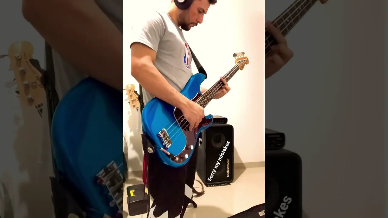 Blackbird - The Beatles (Bass Cover)