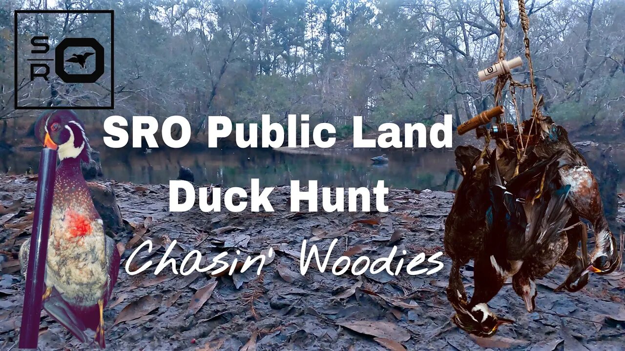 SRO Public Land Duck Hunt | Chasin’ Woodies