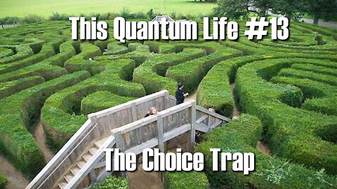 This Quantum Life #13 - The Choice Trap