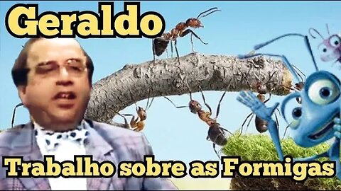 Escolinha do Professor Raimundo; Geraldo, trabalho sobre as formigas. 👀