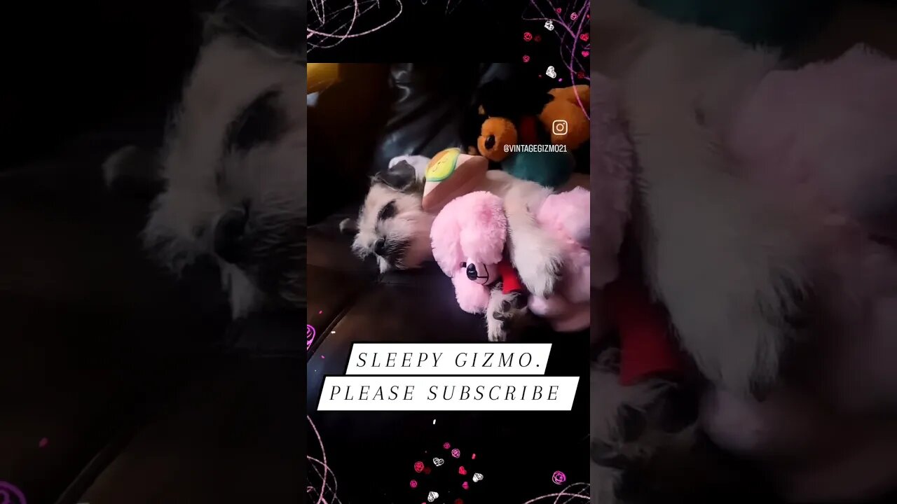 Sleepy Gizmo