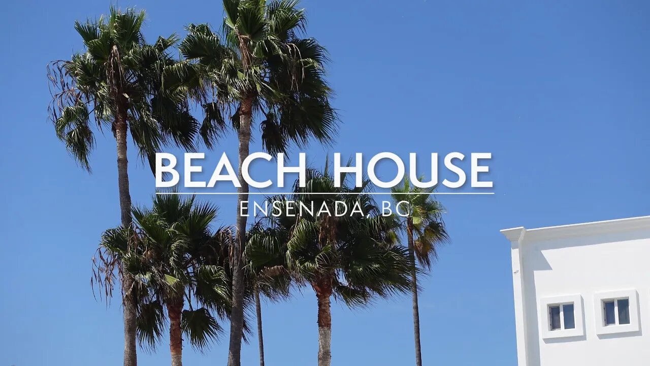 Beach House | Relaxing Palm Trees in the Summer Breeze, 4K Zen Short Video