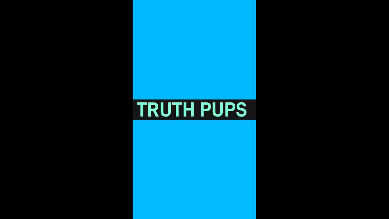 TRUTH PUPS NEWS What's really happening behind the scenes and a MASSIVE PLAN Guilded Military oper