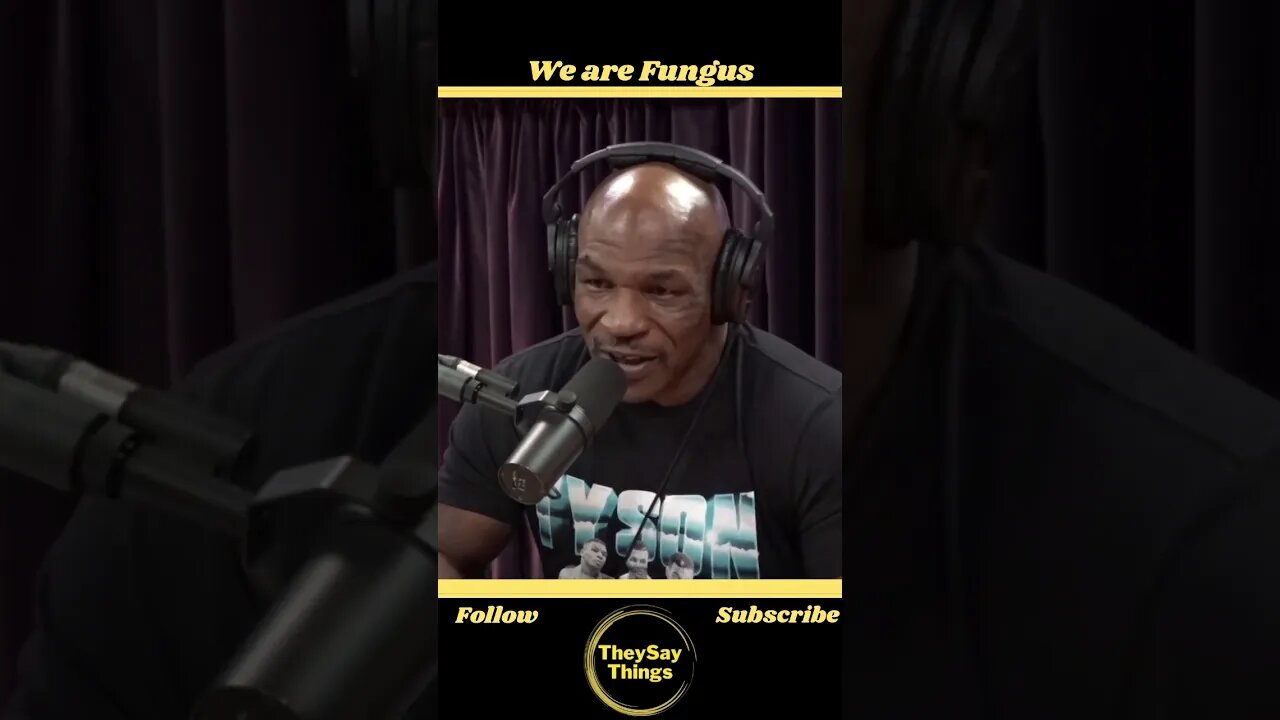 Mike Tyson, We are Fungus