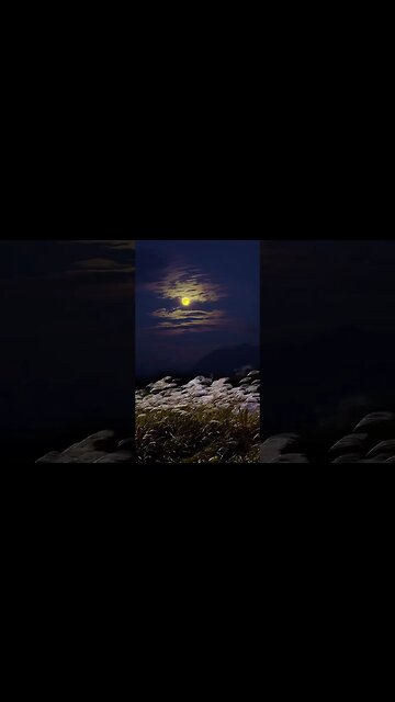 Relaxing Calm Nature Music