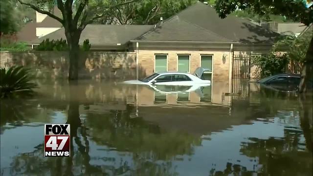 If you're buying a used car watch out for flood damaged vehicles