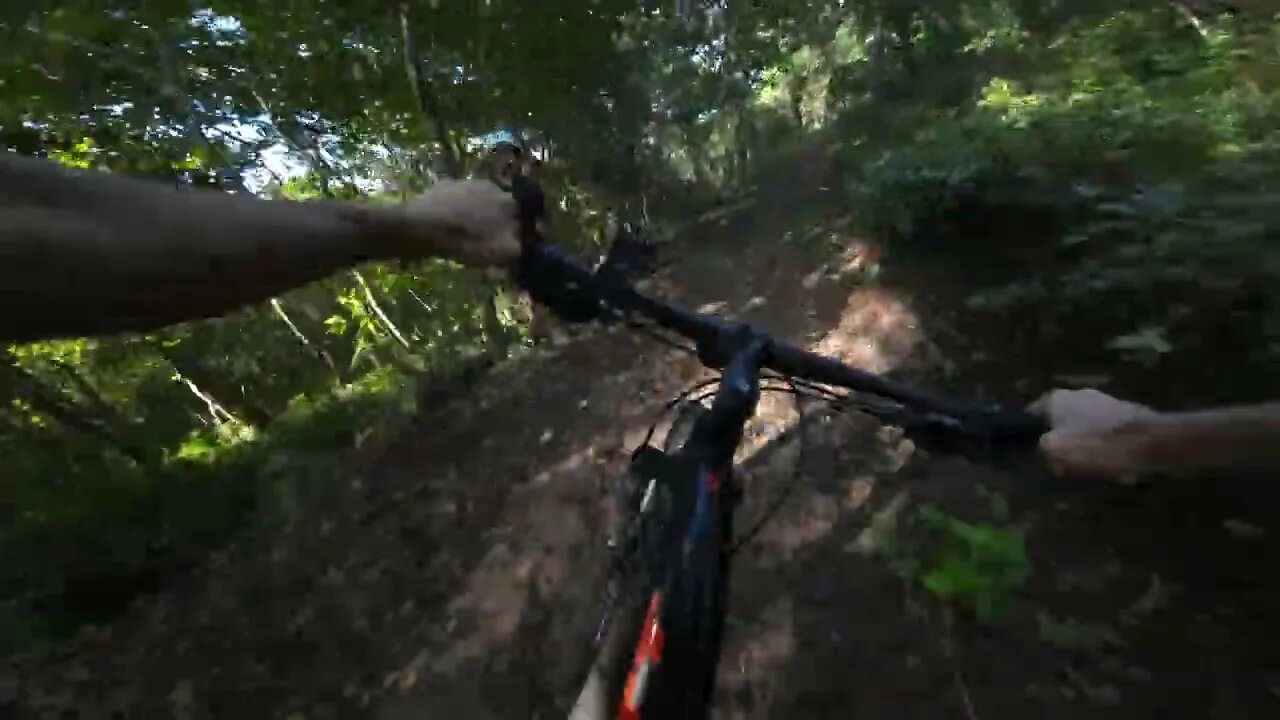 Fastest I've ever gone on a trail