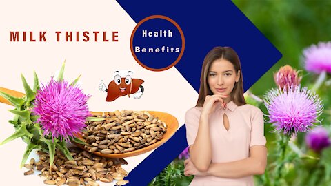 Milk Thistle Health Benefits