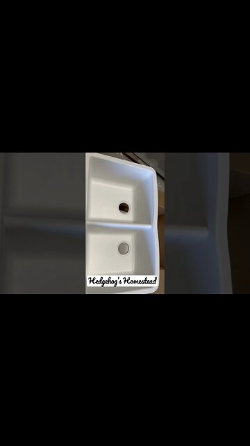 What’s happening at hedgehogs Hampstead?