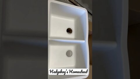 What’s happening at hedgehogs Hampstead?