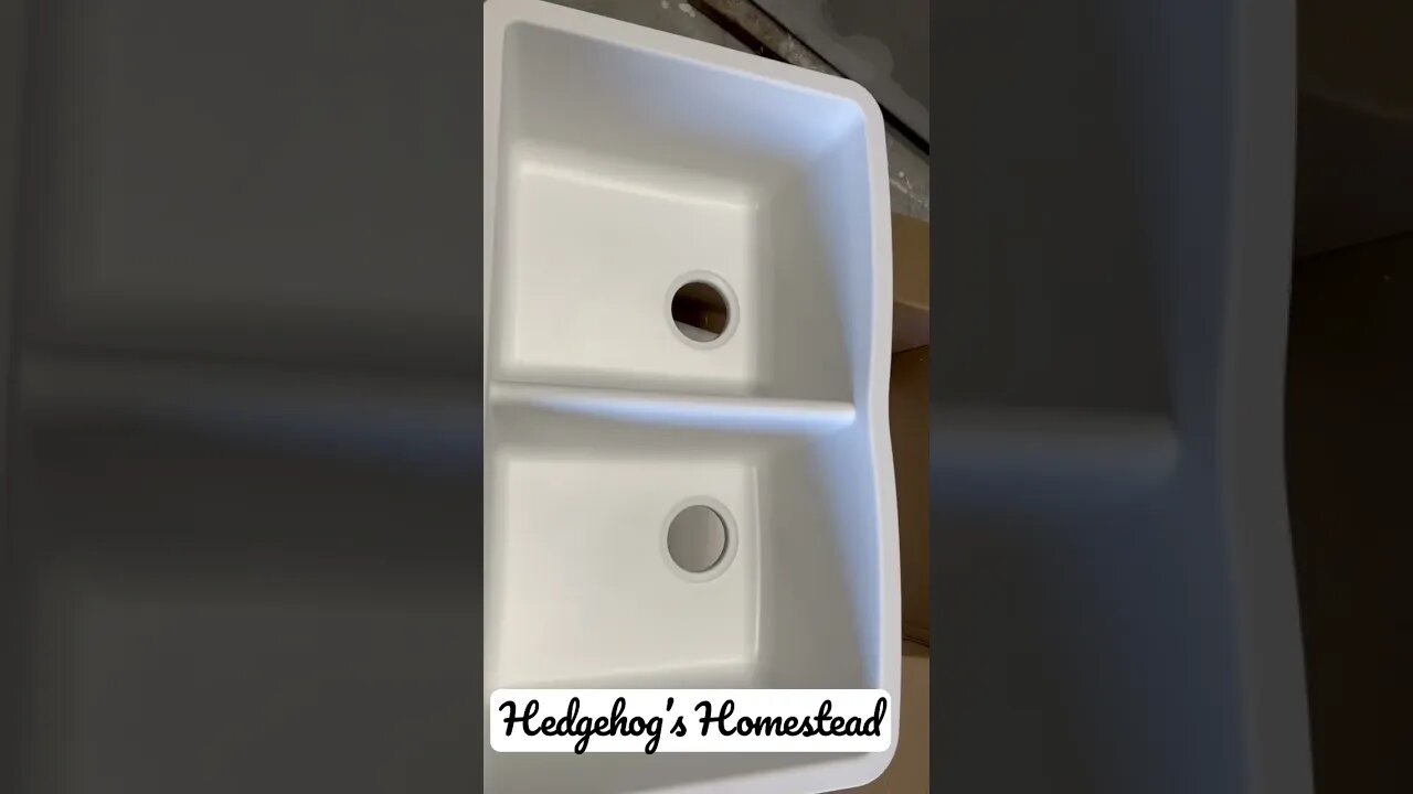 What’s happening at hedgehogs Hampstead?