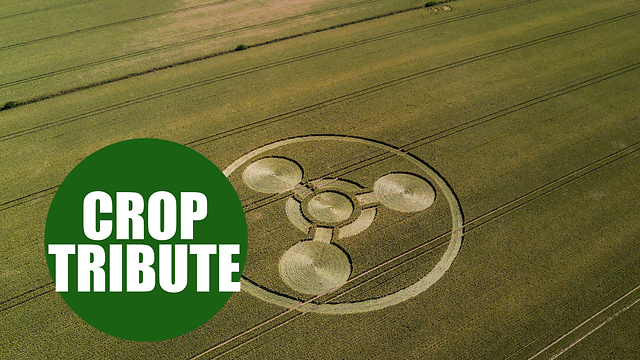 Crop circle created is a tribute to Novichock victim