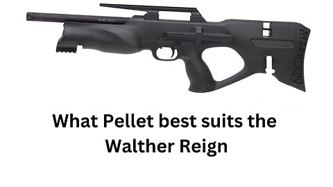 What Pellet best suits the Walther Reign