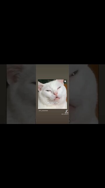 He so high right now