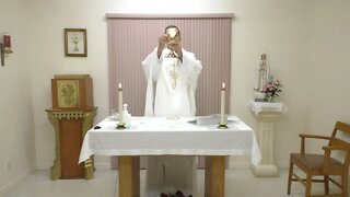 November 10 - Saint Leo the Great Mass