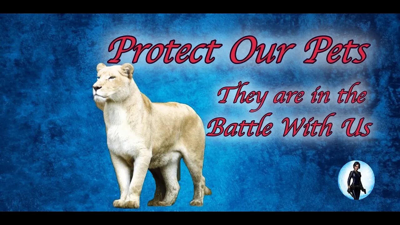 Protect Our Pets - They are also in the Battle!