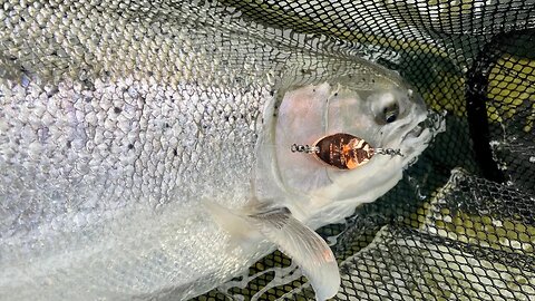 Spinner & Spoon Fishing For STEELHEAD! (Golden Ticket Drawing)