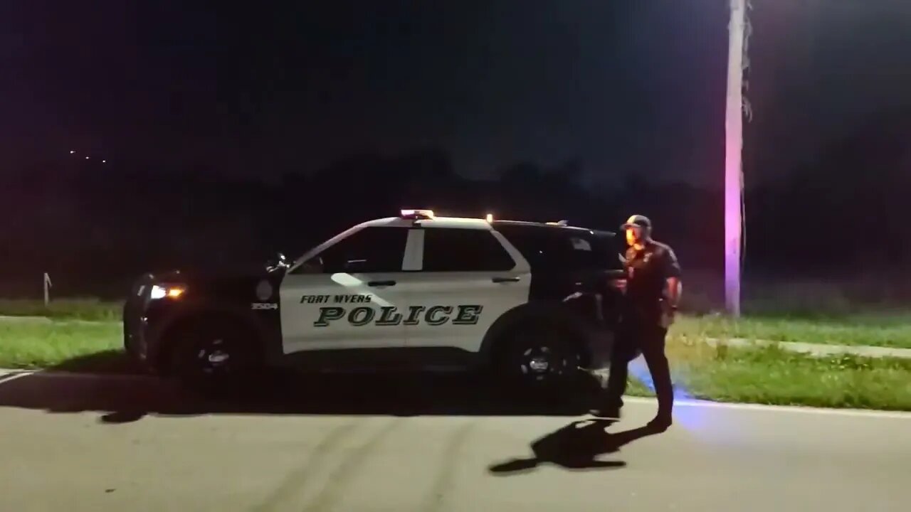 COPS ON THE RUN