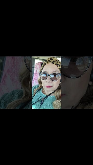 What's on the schedule for the Shanster