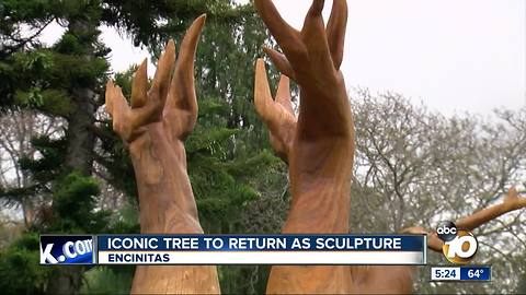 Iconic tree to return as a sculpture