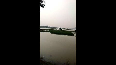pobitora wield life sanctuary mayang morigaon Assam India