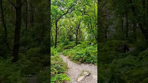 The low path on The West Highland Way Scotland #westhighlandway #hiking #shorts #nature