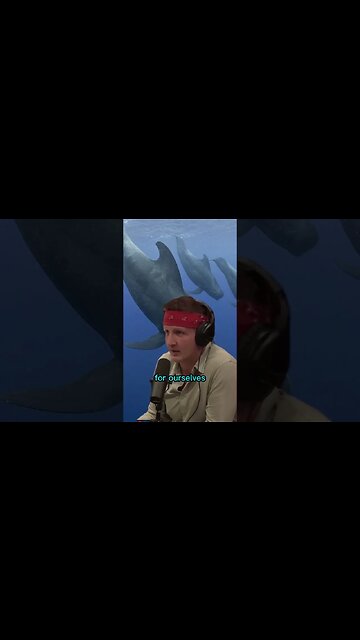 "Oh my god, this is horrible" - Joe Rogan reacting to whale hunting in Faroe Islands with Sonny