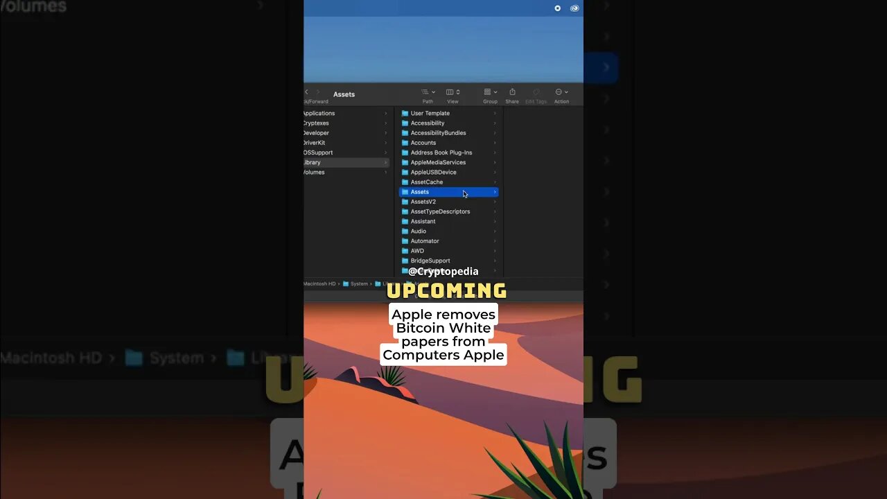 Apple removes Bitcoin White papers from Computers Apple #bitcoin #crypto #apple #shorts