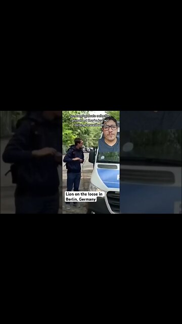 Lion loose in Germany????