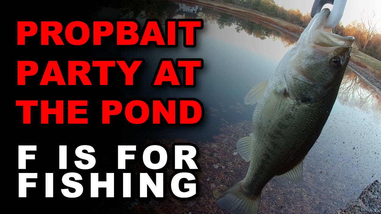 Propbait Party at the Pond